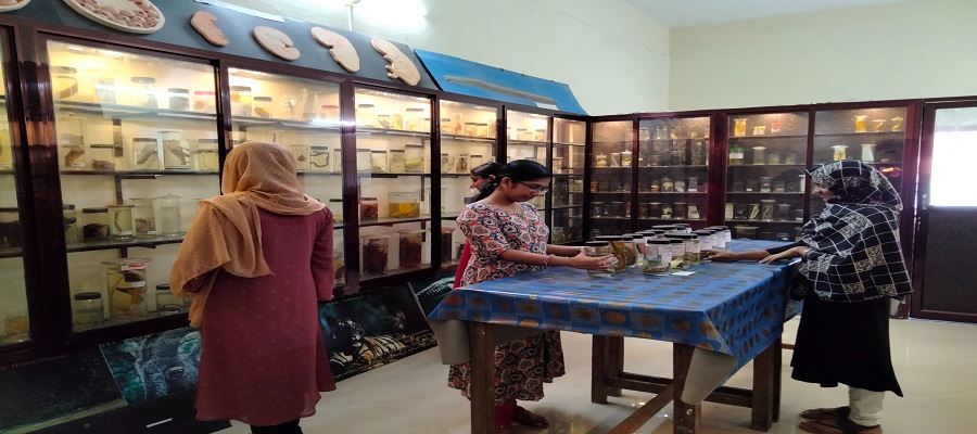 ZOOLOGY MUSEUM